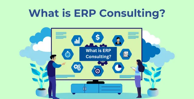 What is ERP Consulting?